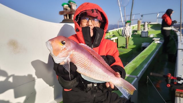 アマダイ(アカアマダイ)