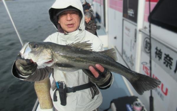 シーバス(スズキ)