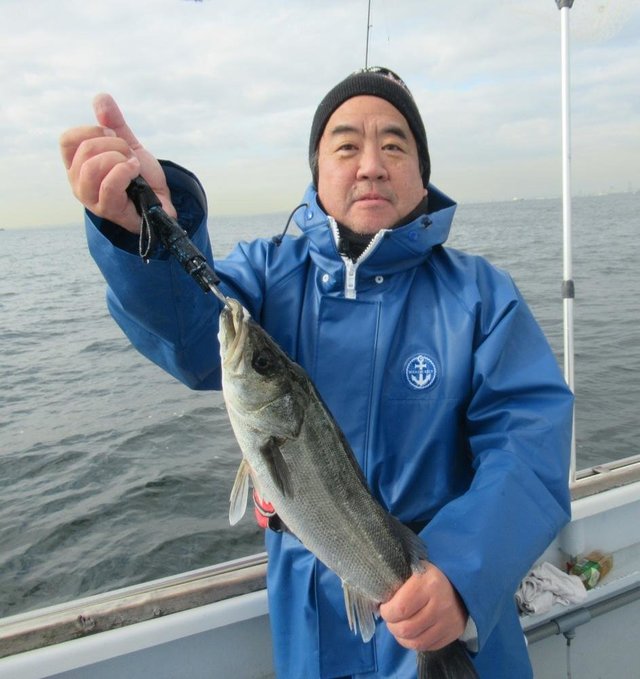 シーバス(スズキ)