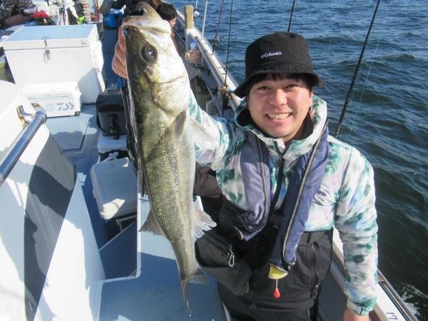 シーバス(スズキ)