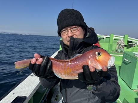 アマダイ(アカアマダイ)