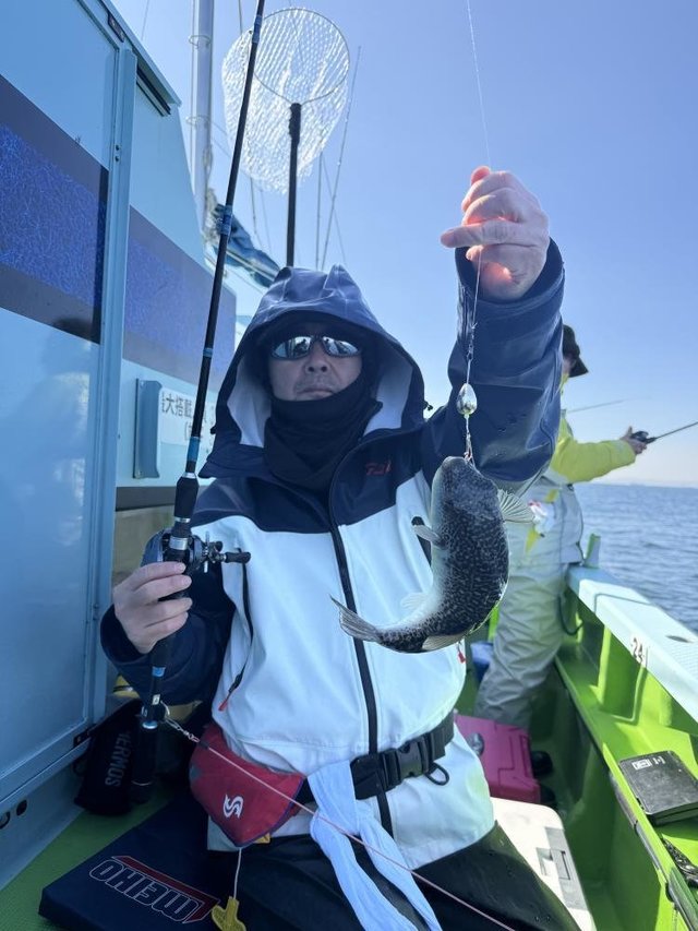 フグ(ショウサイフグ)