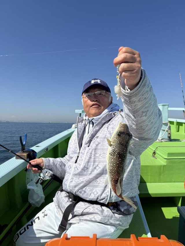 フグ(ショウサイフグ)