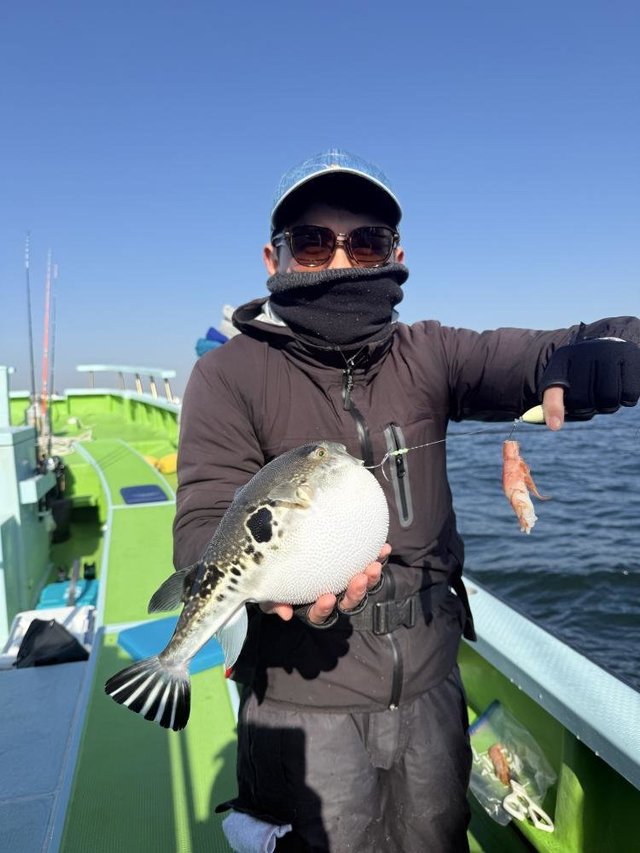 フグ(トラフグ)