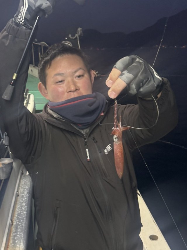 マルイカ(ケンサキイカ)