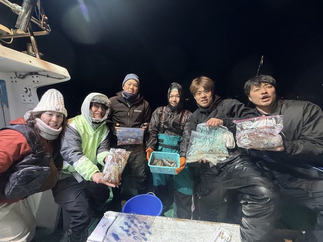 マルイカ(ケンサキイカ)