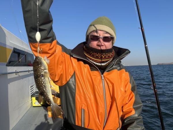 ショウサイフグ