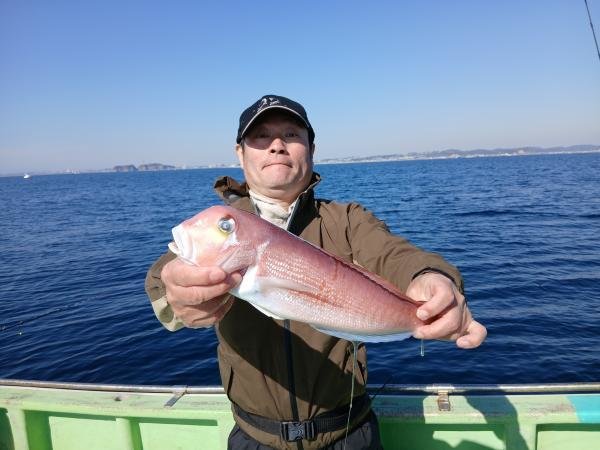 アマダイ(アカアマダイ)