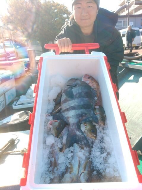 イシダイ・イサキ