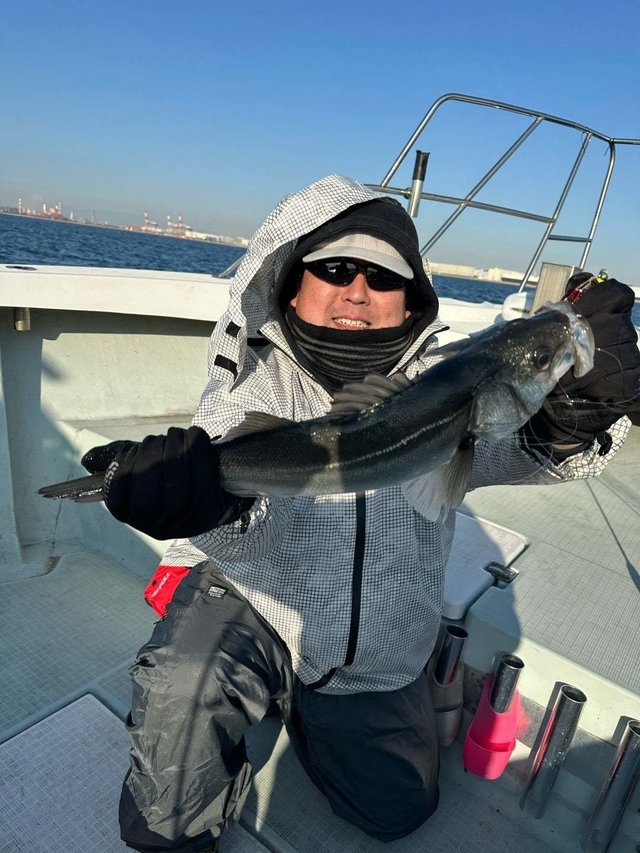 シーバス(スズキ)