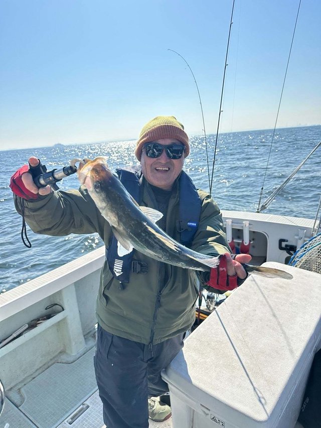 シーバス(スズキ)