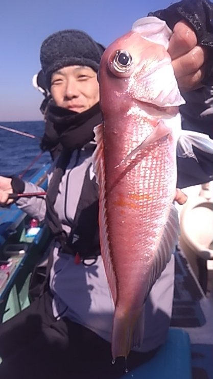 アマダイ(アカアマダイ)