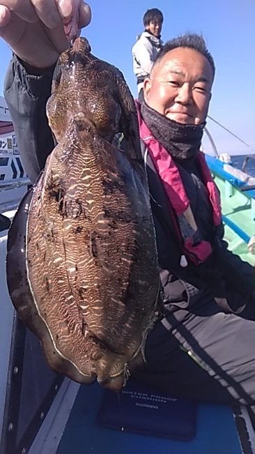 モンゴウイカ(カミナリイカ)