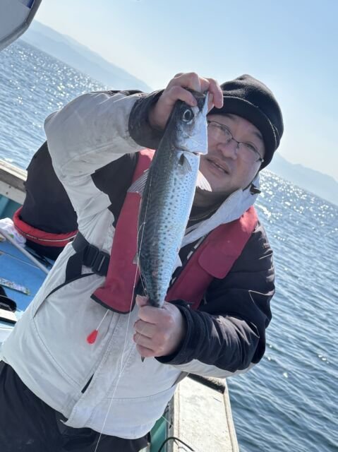 サバ(ゴマサバ)