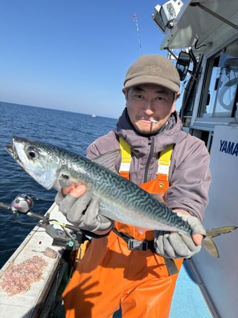 サバ(ゴマサバ)