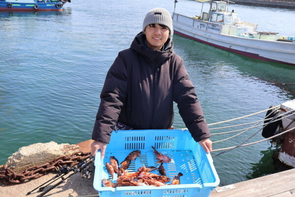 ガシラ(カサゴ)