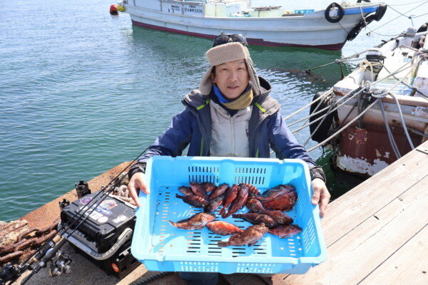 ガシラ(カサゴ)