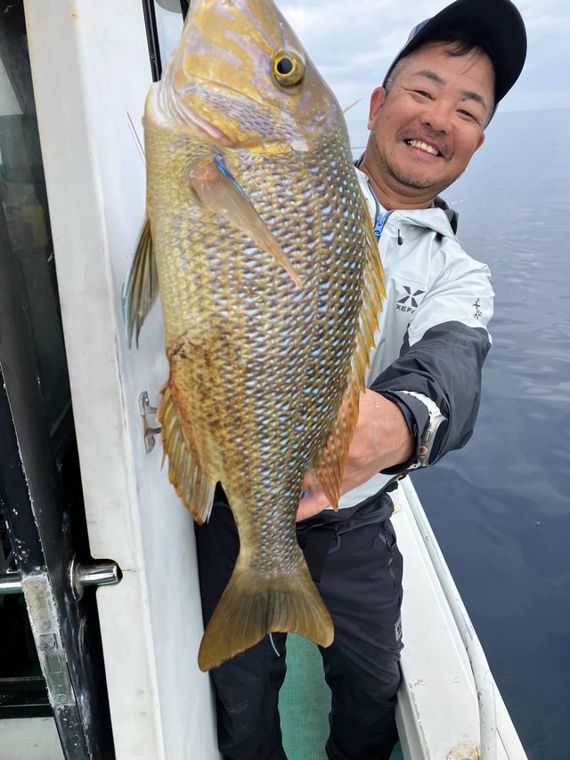 タマン(ハマフエフキ)