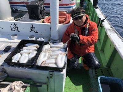 モンゴウイカ(カミナリイカ)