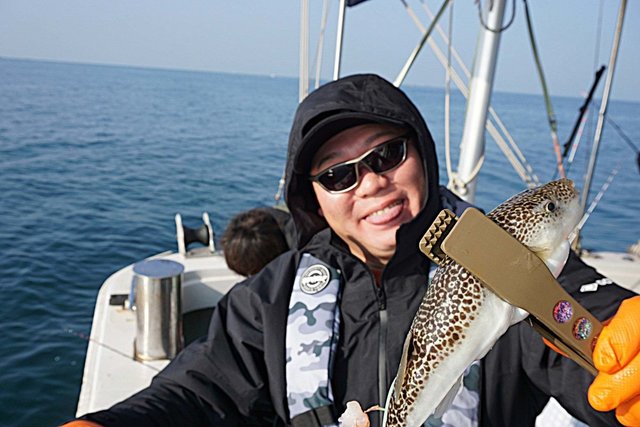 ショウサイフグ