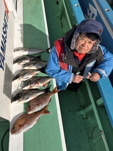 マダイ・クロダイ・イナダ(ブリ)