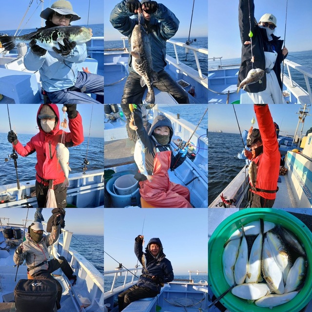 ショウサイフグ