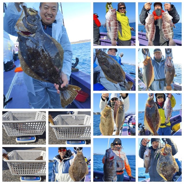 マハタ・ヒラメ