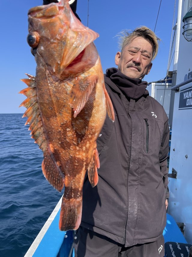 ウッカリカサゴ