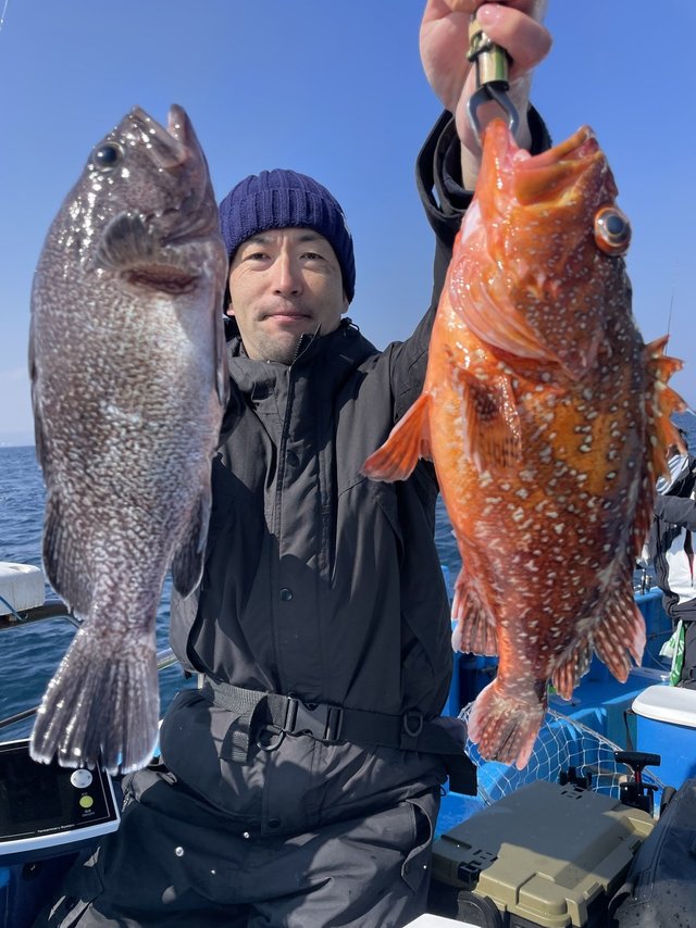 ウッカリカサゴ・マゾイ(キツネメバル)