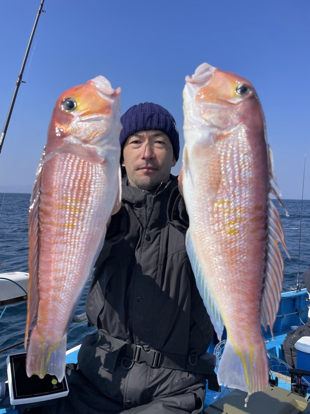 アマダイ(アカアマダイ)