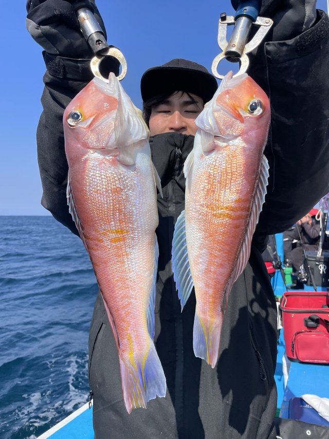 アマダイ(アカアマダイ)