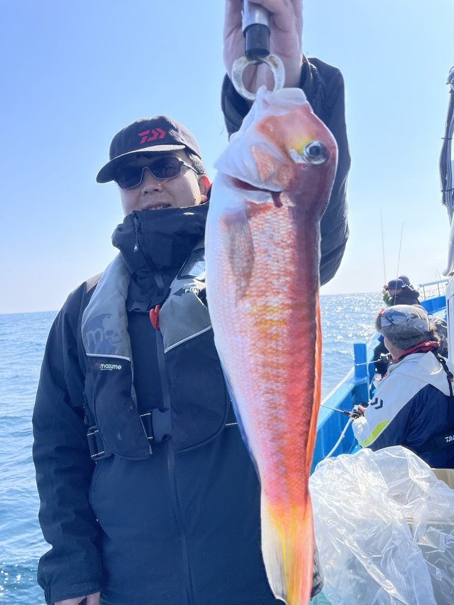 アマダイ(アカアマダイ)