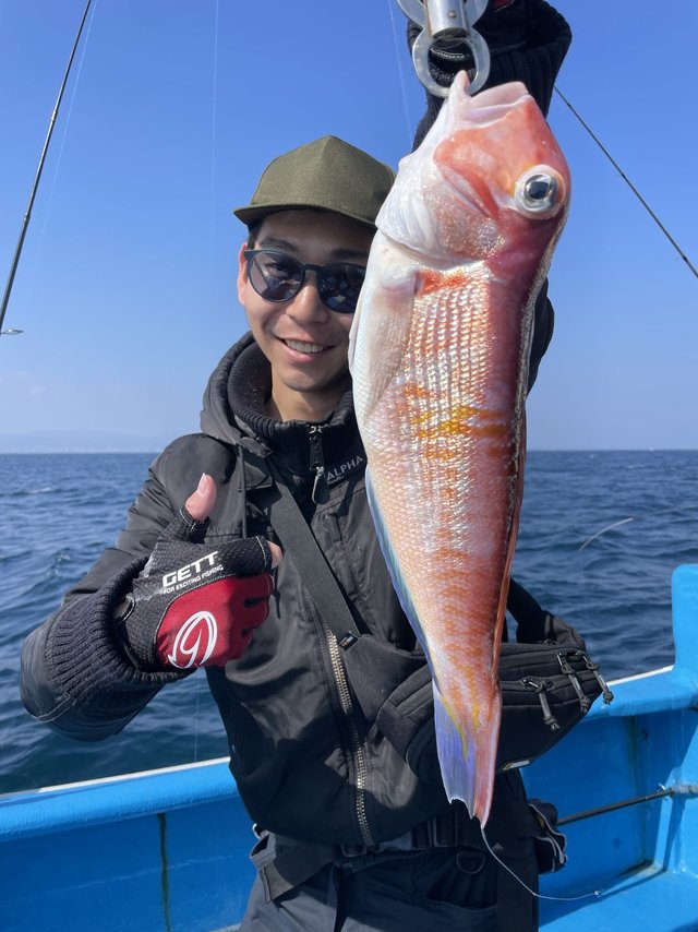 アマダイ(アカアマダイ)