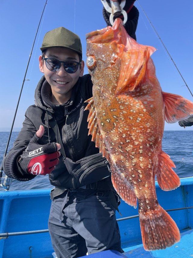 ウッカリカサゴ