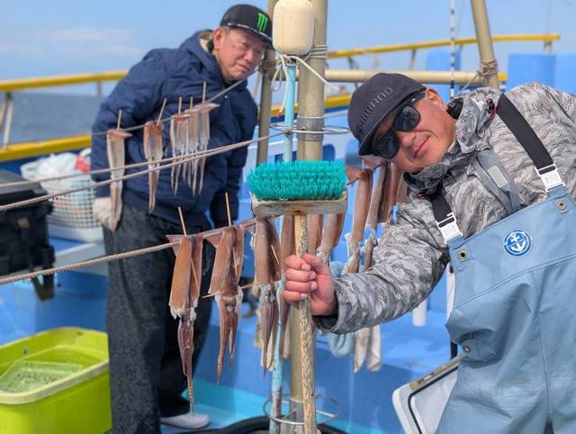 スルメ(スルメイカ)