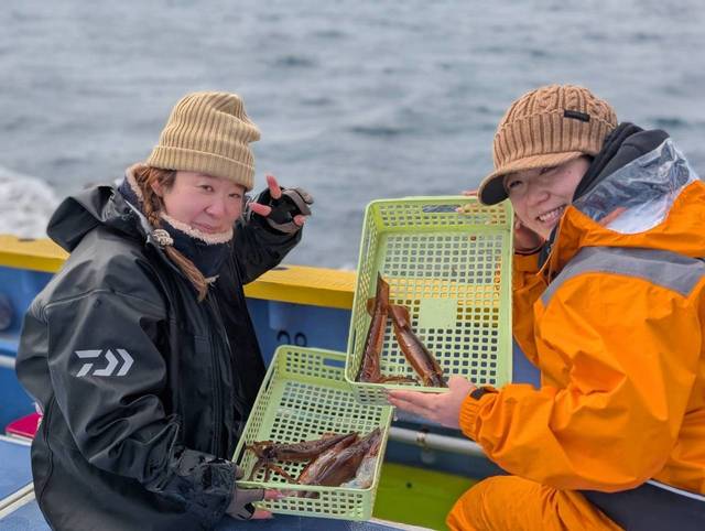 スルメ(スルメイカ)