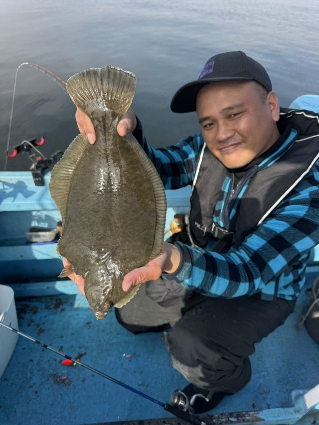 カレイ(マコガレイ)