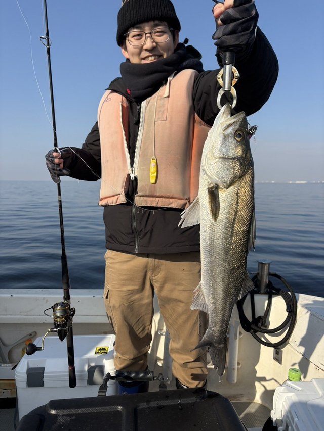 シーバス(スズキ)