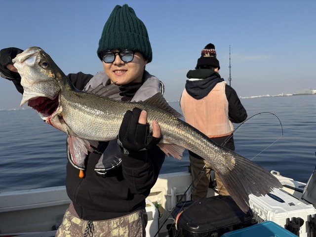 シーバス(スズキ)