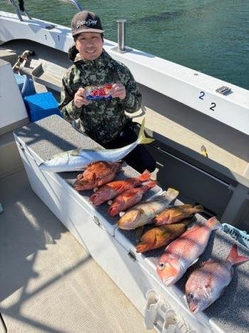 マダイ・アオハタ・キジハタ・メジロ(ブリ)・アマダイ(アカアマダイ)