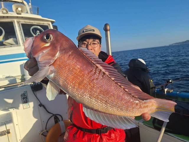 アマダイ(アカアマダイ)