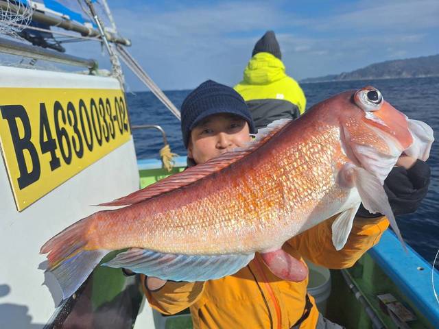 アマダイ(アカアマダイ)