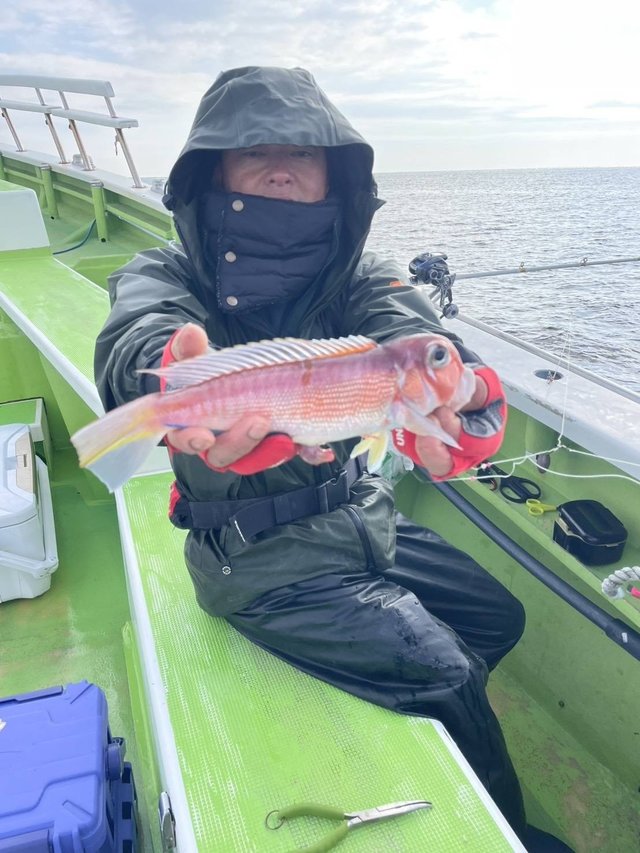 アマダイ(アカアマダイ)