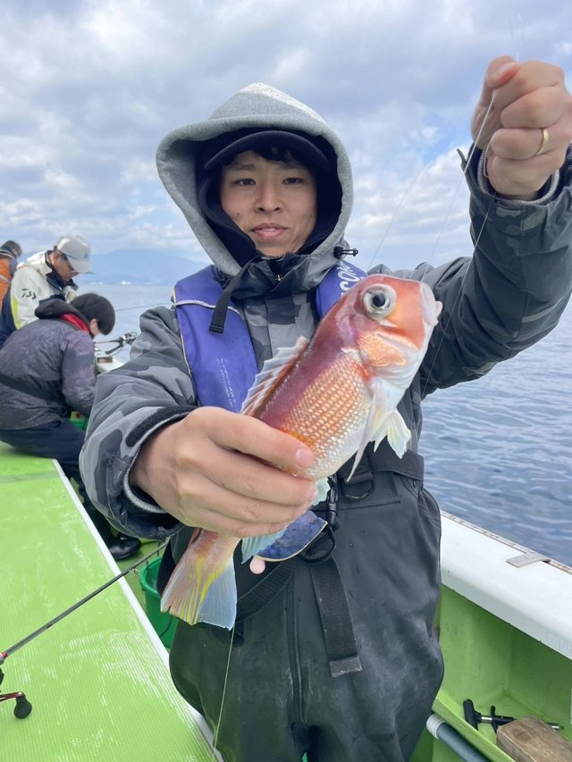 アマダイ(アカアマダイ)