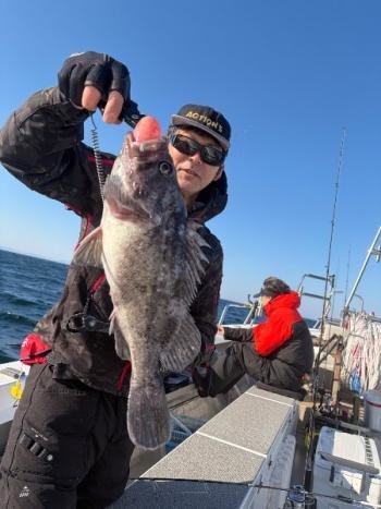 ソイ(クロソイ)