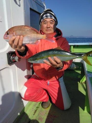 マダイ・イナダ(ブリ)