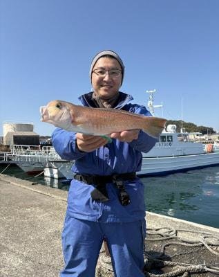 シロアマダイ