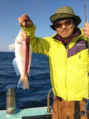 アマダイ(アカアマダイ)