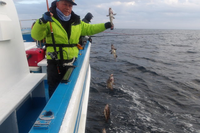 メバル(ウスメバル)