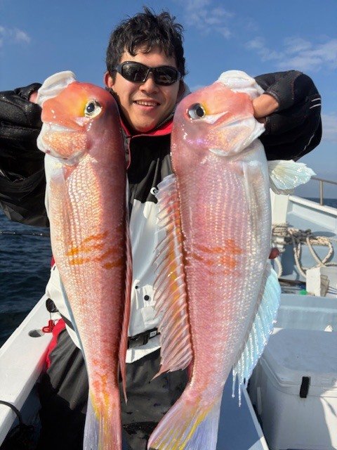 アマダイ(アカアマダイ)